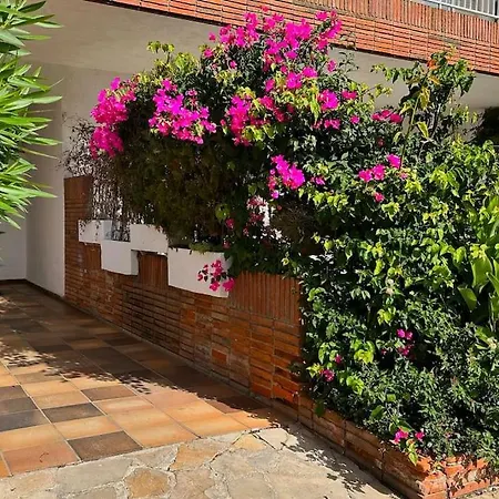 Apartament Piso Amable Con Piscina Cerca De Mar *